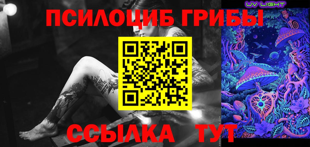 Псилоцибиновые грибы MAGIC MUSHROOMS  купить закладку  Горно-Алтайск  Псилоцибиновые грибы мицелий  Вход с VPN 